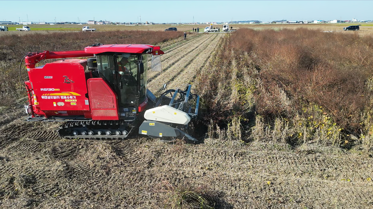 WeCan combine harvesting grain in the field